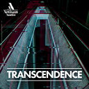 ARTISAN AUDIO 【厳選サンプルパック・シンセプリセットが約40%OFF!】TRANSCENDENCE(オンライン納品)(2時間以内に納品) プラグインソフト