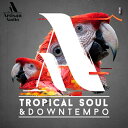 ARTISAN AUDIO 【厳選サンプルパック・シンセプリセットが約40%OFF!】TROPICAL SOUL & DOWNTEMPO(オンライン納品)(2時間以内に納品) プラグインソフト