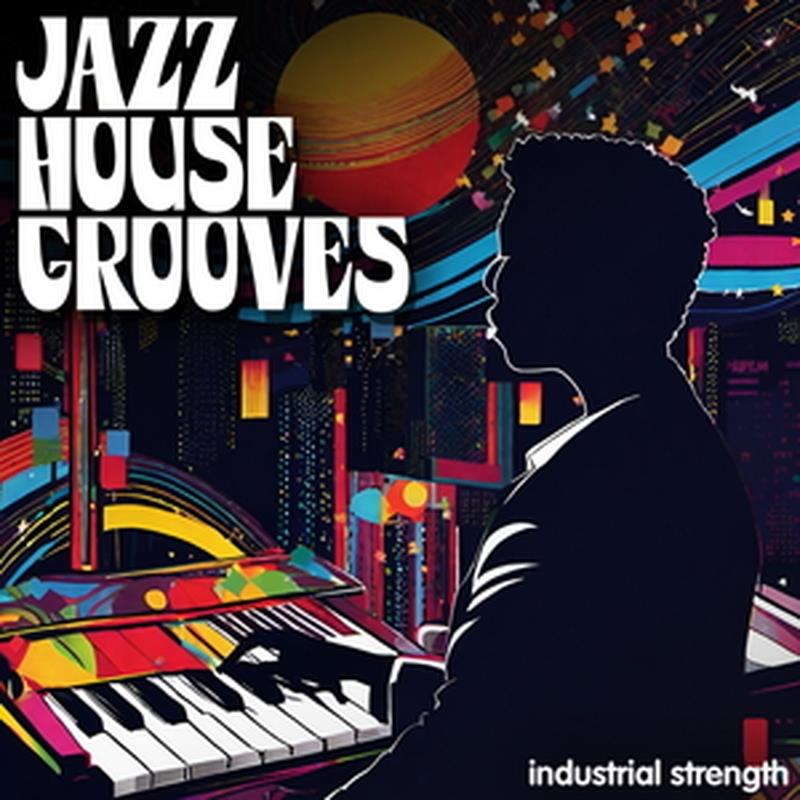 INDUSTRIAL STRENGTH JAZZ HOUSE GROOVES(オンライン納品)(2時間以内に納品) プラグインソフト