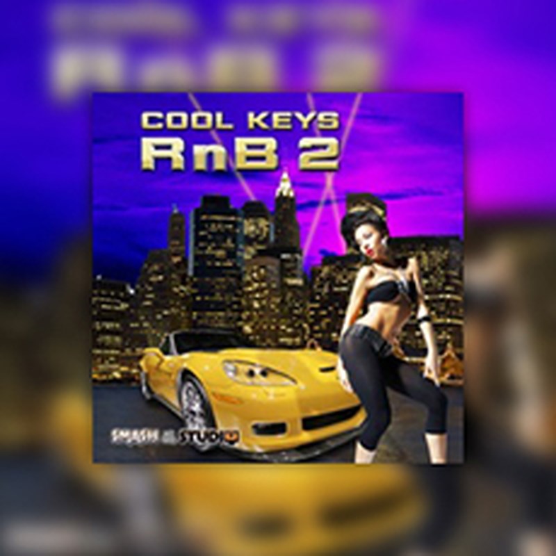 BIG FISH AUDIO COOL KEYS RNB 2(オンライン納品)(2時間以内に納品) プラグインソフト