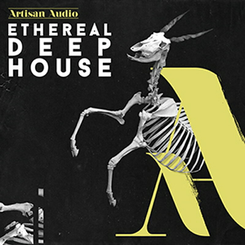 ARTISAN AUDIO ETHEREAL DEEP HOUSE(オンライン納品)(2時間以内に納品) プラグインソフト