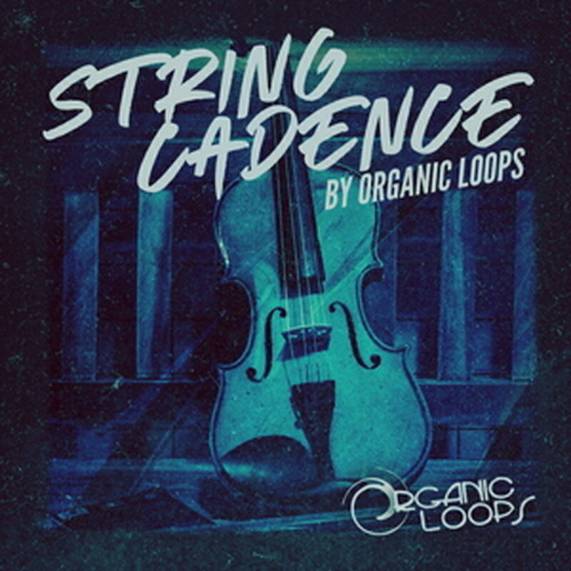 ORGANIC LOOPS STRING CADENCE(オンライン納品)(2時間以内に納品) プラグインソフト