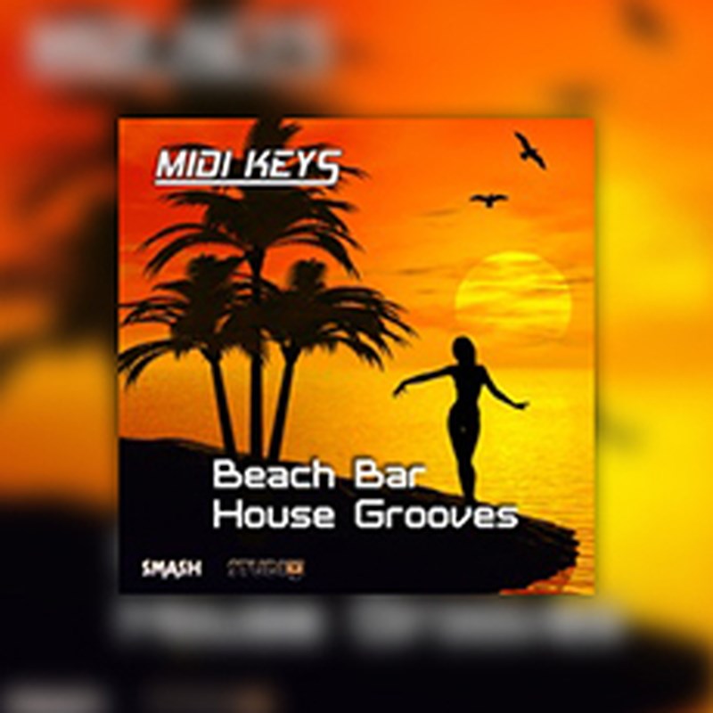BIG FISH AUDIO MIDI KEYS: BEACH BAR HOUSE GROOVES(オンライン納品)(2時間以内に納品) プラグインソフト
