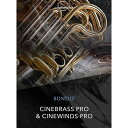 CineBrass Pro + CineWinds Pro(IC[ip)͂p܂ CINESAMPLES DTM vOC\tg