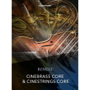 CineStrings Core + CineBrass Core Bundle(オンライン納品専用)※代引きはご利用いただけません CINESAMPLES DTM プラグインソフト