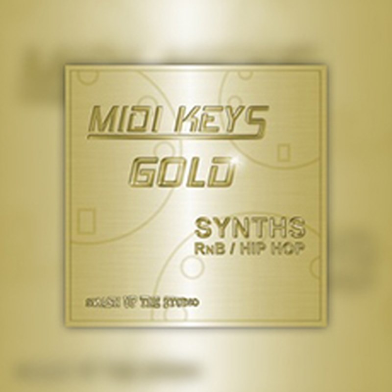 BIG FISH AUDIO 【ビッグフィッシュオーディオサンプルパックが25%OFF!】MIDI KEYS GOLD: SYNTH RNB/HIPHOP(オンライン納品)(2時間以内に納品) プラグインソフト