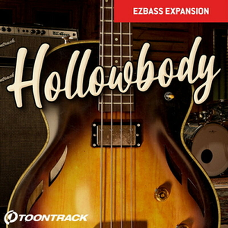 TOONTRACK 【トゥーントラックホリデーセール！】EBX - HOLLOWBODY(オンライン納品)(2時間以内に納品) ソフトウェア音源