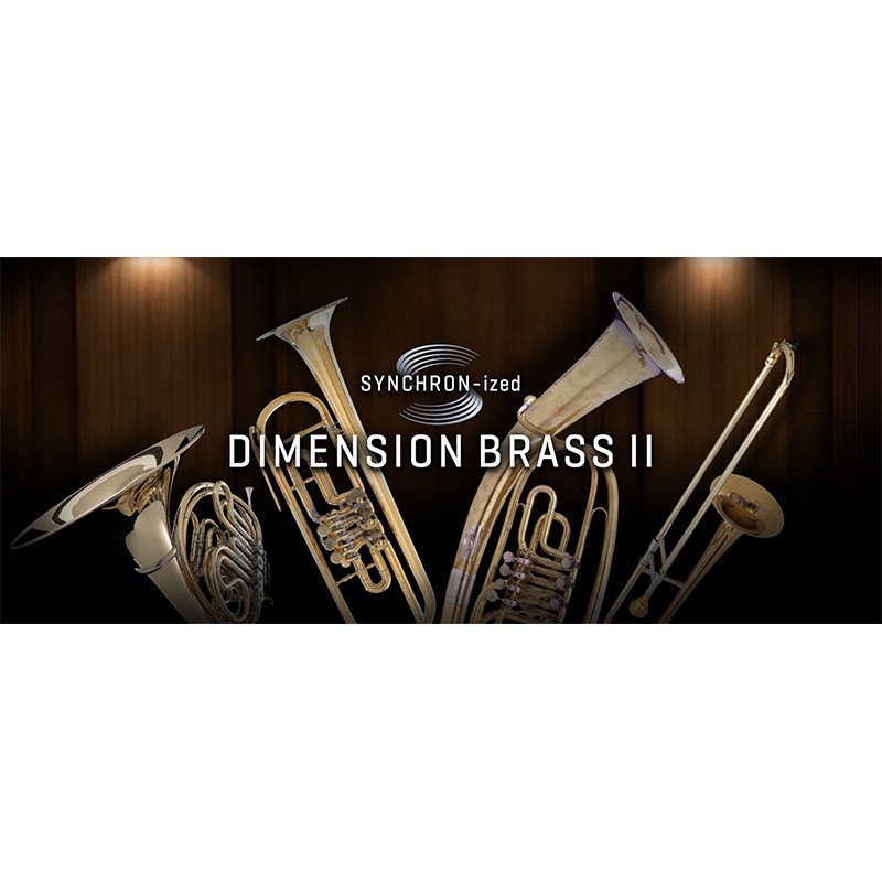 SYNCHRON-IZED DIMENSION BRASS 2yȈՃpbP[W̔z VIENNA DTM \tgEFA