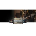 WAVES Voltage Amps (オンライン納品)(2時間以内に納品) プラグインソフト