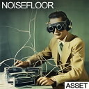 INDUSTRIAL STRENGTH NOISEFLOOR - ASSET(オンライン納品)(2時間以内に納品) プラグインソフト