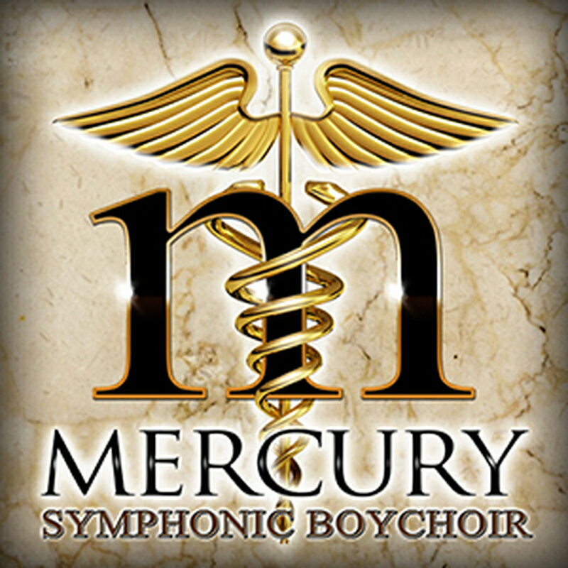 Rakuten - SOUNDIRON MERCURY SYMPHONIC BOYCHOIR(オンライン納品)(2時間以内に納品) プラグインソフト