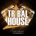 LOOPMASTERS TRIBAL HOUSE(オンライン納品)(2時間以内に納品) プラグインソフト