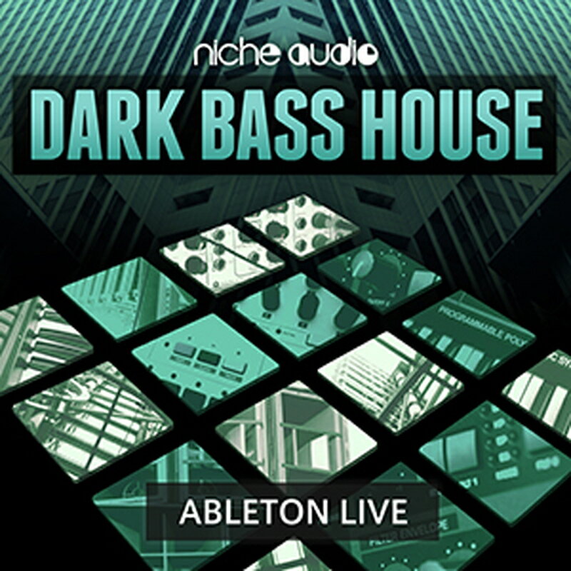 NICHE AUDIO DARK BASS HOUSE - LIVE(オンライン納品)(2時間以内に納品) プラグインソフト