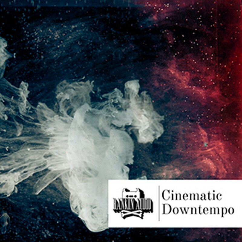 RANKIN AUDIO CINEMATIC DOWNTEMPO(オンライン納品)(2時間以内に納品) プラグインソフト