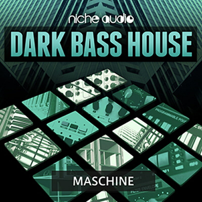 NICHE AUDIO DARK BASS HOUSE - MASCHINE(オンライン納品)(2時間以内に納品) プラグインソフト