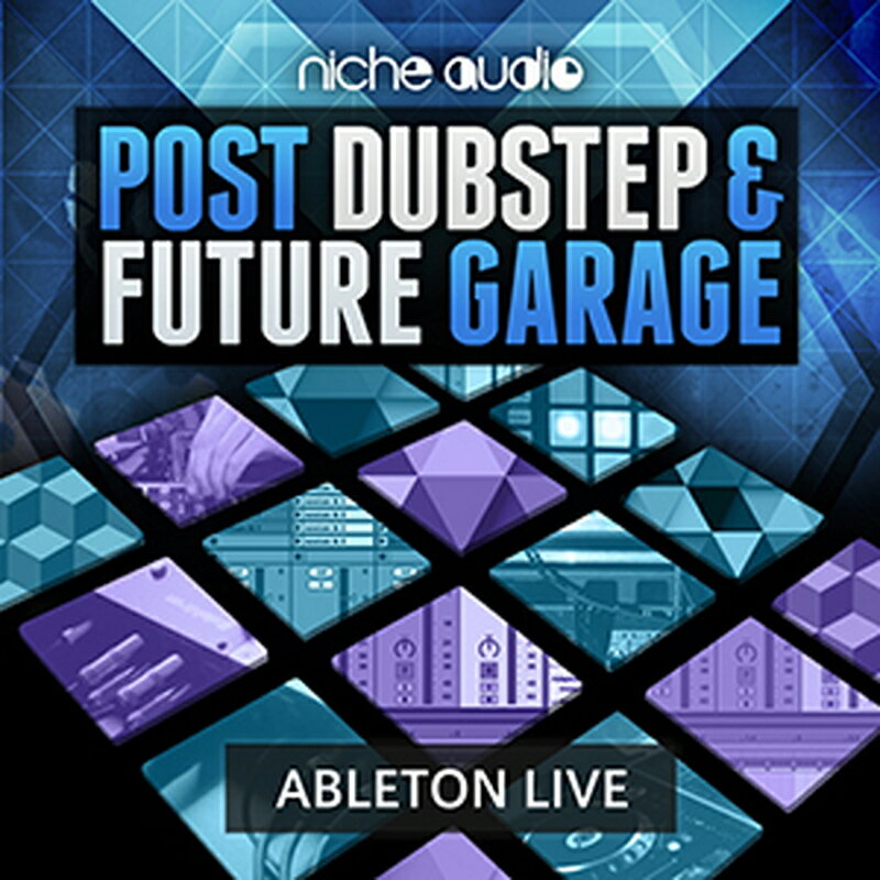 NICHE AUDIO POST DUBSTEP & FUTURE GARAGE - LIVE(オンライン納品)(2時間以内に納品) プラグインソフト