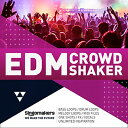 SINGOMAKERS EDM CROWD SHAKER(オンライン納品)(2時間以内に納品) プラグインソフト