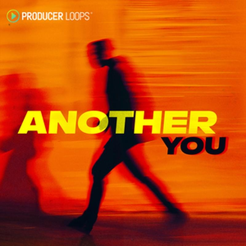 PRODUCER LOOPS ANOTHER YOU(オンライン納品)(2時間以内に納品) プラグインソフト