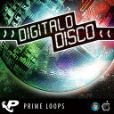 PRIME LOOPS DIGITALO DISCO(オンライン納品)(2時間以内に納品) プラグインソフト