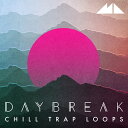 MODEAUDIO 【質感豊かなアンビエント系サンプルパックが約30%OFF!】DAYBREAK(オンライン納品)(2時間以内に納品) プラグインソフト