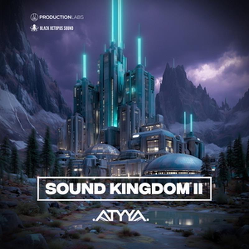 BLACK OCTOPUS ATYYA - Sound Kingdom Volume 2(オンライン納品)(2時間以内に納品) プラグインソフト