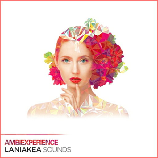 LANIAKEA SOUNDS AMBIEXPERIENCE(オンライン納品)(2時間以内に納品) プラグインソフト LANIAKEA SOUNDS AMBIEXPERIENCE(オンライン納品)(2時間以内に納品) プラグインソフト