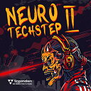 SINGOMAKERS NEURO TECHSTEP 2(オンライン納品)(2時間以内に納品) プラグインソフト
