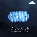 MODEAUDIO 【質感豊かなアンビエント系サンプルパックが約30%OFF!】HALOGEN(オンライン納品)(2時間以内に納品) プラグインソフト