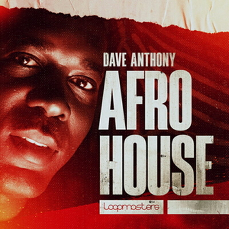 乐天商城 - LOOPMASTERS DAVE ANTHONY - AFRO HOUSE(オンライン納品)(2時間以内に納品) プラグインソフト