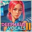 DABRO MUSIC DEEPHAUS VOCALS II(オンライン納品)(2時間以内に納品) プラグインソフト