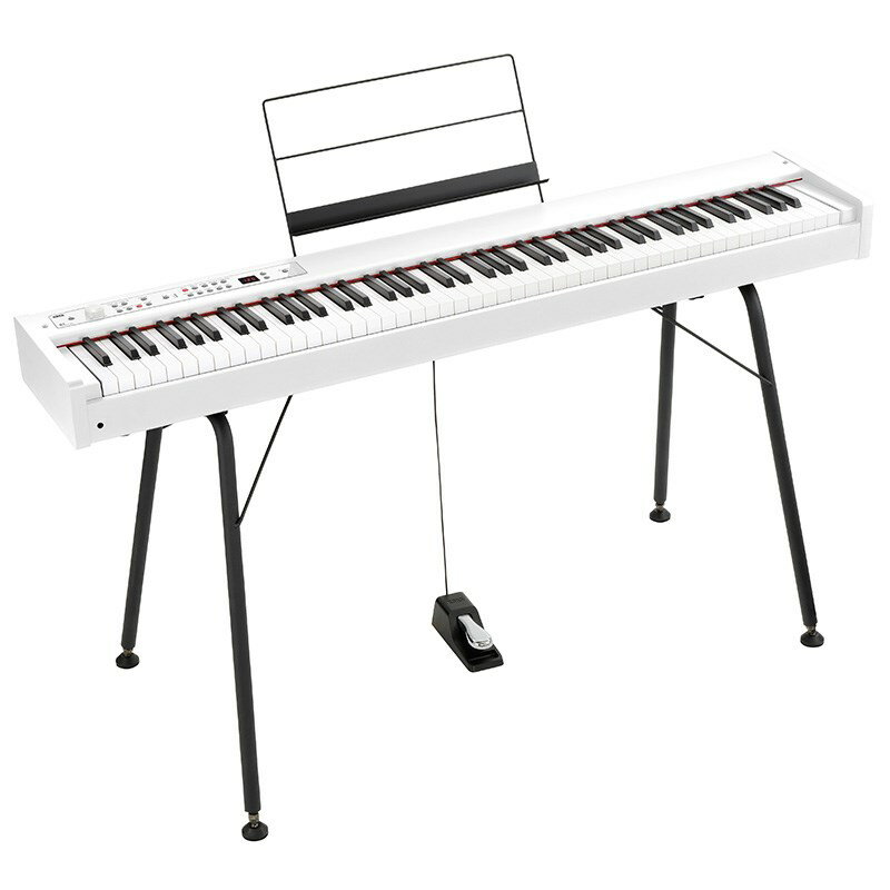 ڥǥڴòפ(ŵԥΥȥСDC-P1)DIGITAL PIANO D1 WH(ۥ磻)ѥɡST-SV1-BKץåȡڲ졦ΥӸѡ KORG ŻҥԥΡ¾׳ڴ Żҥԥ