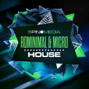 5PIN MEDIA ROMINIMAL & MICRO HOUSE(オンライン納品)(2時間以内に納品) プラグインソフト