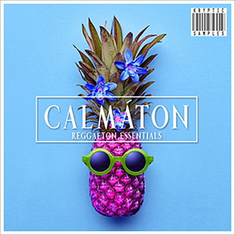 KRYPTIC SAMPLES CALMATON(オンライン納品)(2時間以内に納品) プラグインソフト