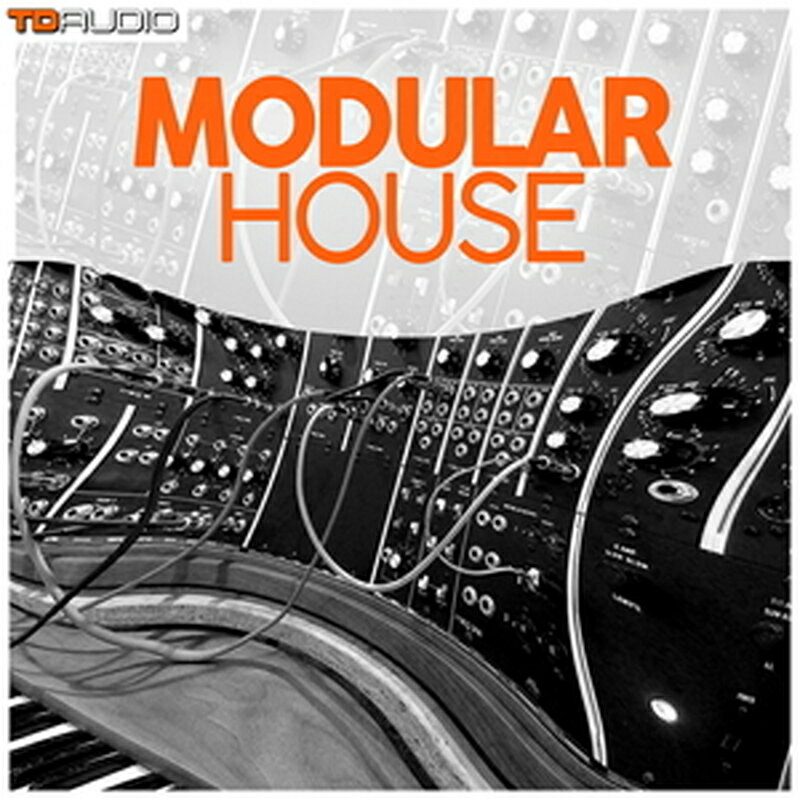 INDUSTRIAL STRENGTH TD AUDIO - MODULAR HOUSE(オンライン納品)(2時間以内に納品) プラグインソフト