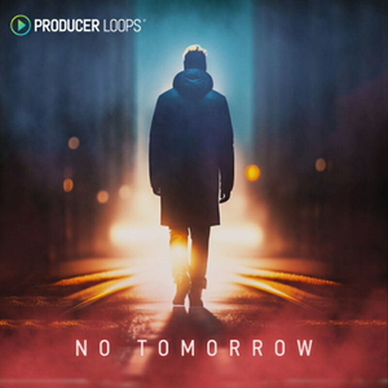 PRODUCER LOOPS NO TOMORROW(オンライン納品)(2時間以内に納品) プラグインソフト