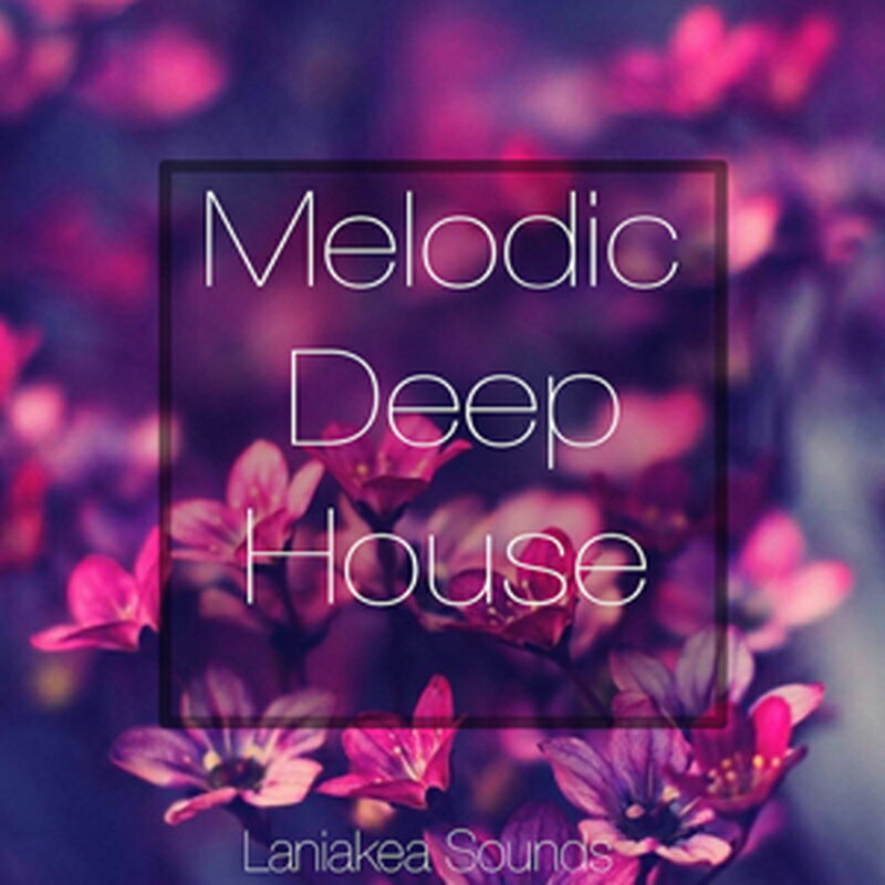 LANIAKEA SOUNDS MELODIC DEEP HOUSE(オンライン納品)(2時間以内に納品) プラグインソフト