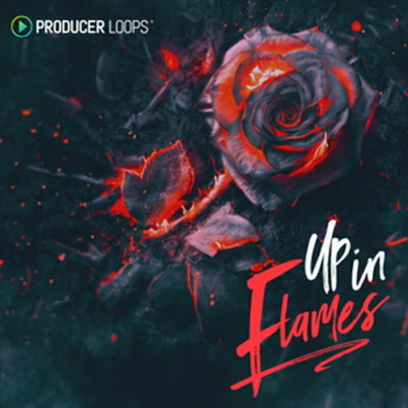 PRODUCER LOOPS UP IN FLAMES(オンライン納品)(2時間以内に納品) プラグインソフト