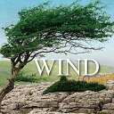 SOUND IDEAS 【サウンドイデアMID YEAR SALE!】WIND SOUND EFFECTS(オンライン納品)(2時間以内に納品) プラグインソフ...