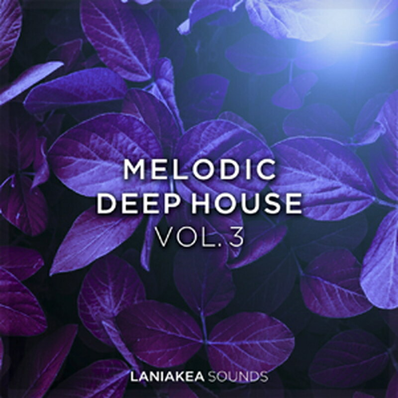 LANIAKEA SOUNDS 【プロデューサーループスブラックフライデーセール!】MELODIC DEEP HOUSE VOL 3(オンライン納品)(2時間以...
