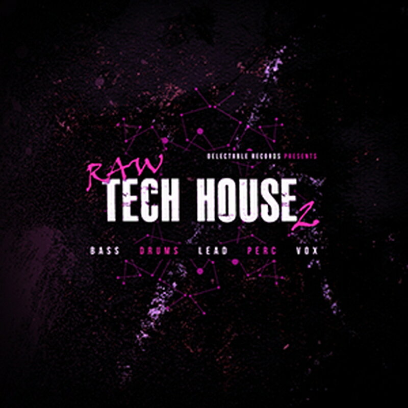DELECTABLE RECORDS RAW TECH HOUSE 2(オンライン納品)(2時間以内に納品) プラグインソフト