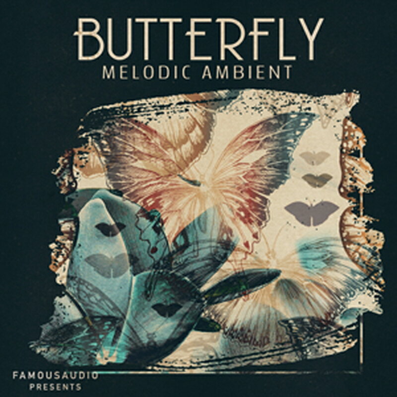FAMOUS AUDIO BUTTERFLY - MELODIC AMBIENT(オンライン納品)(2時間以内に納品) プラグインソフト