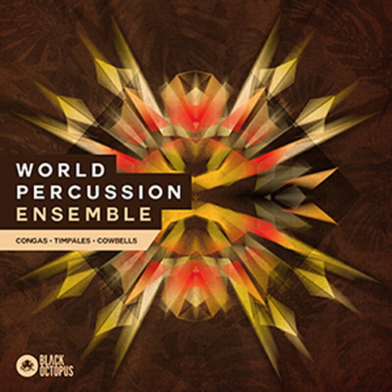 BLACK OCTOPUS 【レゾナンスサウンドスプリングセール！】WORLD PERCUSSION ENSEMBLE(オンライン納品)(2時間以内に納品) プラグインソフト