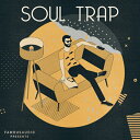 FAMOUS AUDIO 【ループマスターズ Back to the Studio セール!】 - SOUL TRAP(オンライン納品)(2時間以内に納品) プラグインソフト