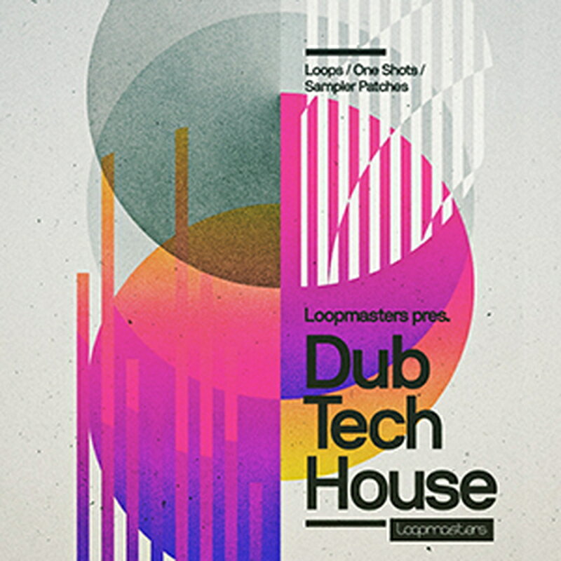 LOOPMASTERS 【ループマスターズサンプルパックが約40%OFF!】DUBTECH HOUSE(オンライン納品)(2時間以内に納品) プラグインソフト