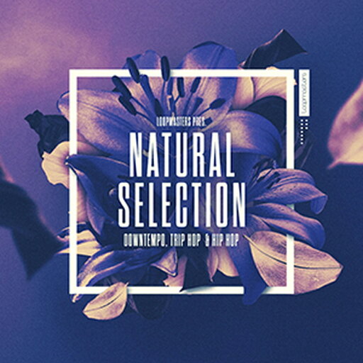 LOOPMASTERS NATURAL SELECTION(オンライン納品)(2時間以内に納品) プラグインソフト LOOPMASTERS NATURAL SELECTION(オンライン納品)(2時間以内に納品) プラグインソフト