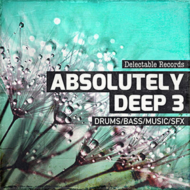 Rakuten - DELECTABLE RECORDS ABSOLUTELY DEEP 03(オンライン納品)(2時間以内に納品) プラグインソフト