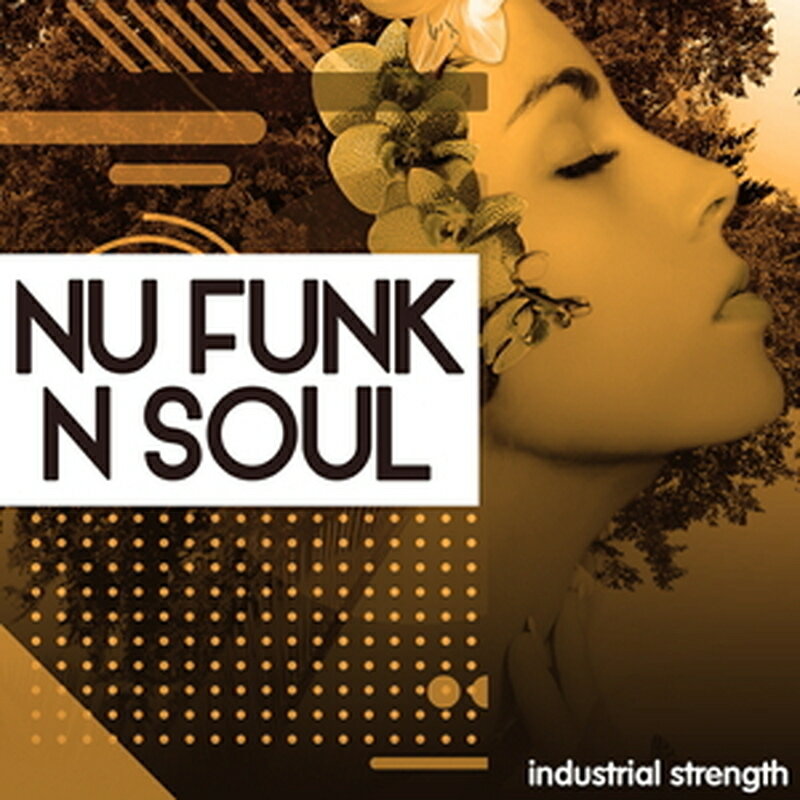 INDUSTRIAL STRENGTH NU FUNK N SOUL(オンライン納品)(2時間以内に納品) プラグインソフト