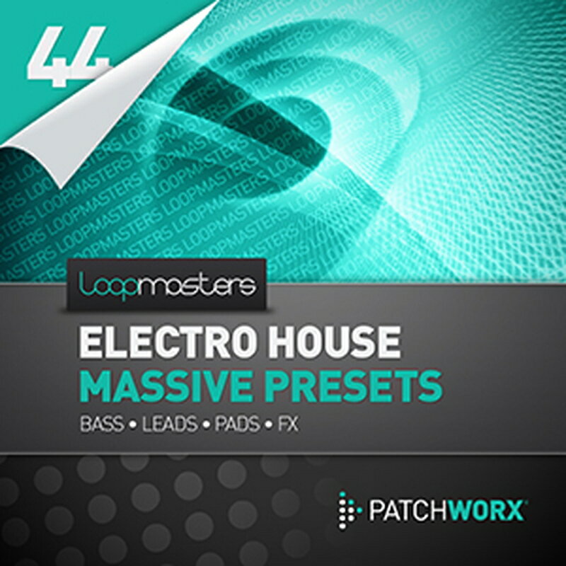 LOOPMASTERS / ELECTRO HOUSE MASSIVE PRESETS(オンライン納品)(2時間以内に納品) プラグインソフト