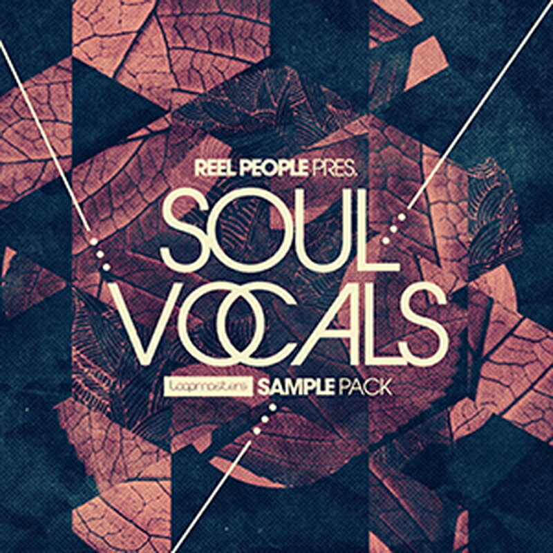 LOOPMASTERS REEL PEOPLE PRESENT SOUL VOCALS(オンライン納品)(2時間以内に納品) プラグインソフト