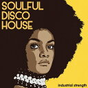 INDUSTRIAL STRENGTH 【ループマスターズ Back to the Studio セール!】SOULFUL DISCO HOUSE(オンライン納品)(2時間以内に納品) プラグインソフト